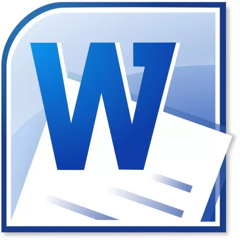 Microsoft Word 2019 Sngl OLP NL (059-09181)