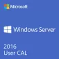Microsoft Windows Server CAL 2016 Russian 1pk DSP OEI 5 Clt User CAL (R18-05253)
