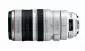 Canon EF 100-400мм f/4.5-5.6 L IS USM
