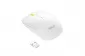 ASUS WT300 Wireless White-Yellow