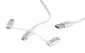 Cablexpert CC-USB2-AMLM32-1M-W Lightning+Micro+Type-C 1m White
