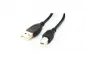 APC Electronic USB AM/BM 1.8m Black