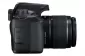 DC Canon EOS 4000D & EF-S 18-55 IS II