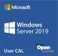 Microsoft Windows Server CAL 2019 English MLP 5 User CAL (R18-05657)