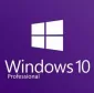 Microsoft Windows Pro 10 32-bit/64-bit Russian USB (FQC-09119)