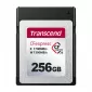 Transcend TS256GCFE820 256GB