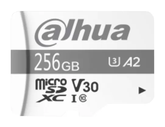 Dahua DHI-TF-P100/256GB Class 10 UHS-I 256GB