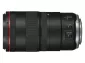 Canon RF 100mm f/2.8 L Macro IS USM