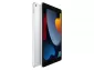 Apple iPad 2021 LTE 3/256Gb Silver