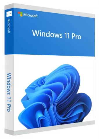Microsoft Windows Pro 11 64Bit Eng Intl 1pk DSP OEI DVD (FQC-10528)