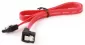 Gembird CC-SATAM-DATA90-0.1M SATA Data Cable 0.1m