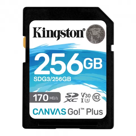 Kingston Canvas Go! Plus 256GB SDG3/256GB