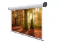 ASIO Projection Screen CY-MS 4:3 203x152cm Matte White
